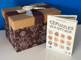 brainteaser 12 puzzles set Wood in a gift box for kids or adults