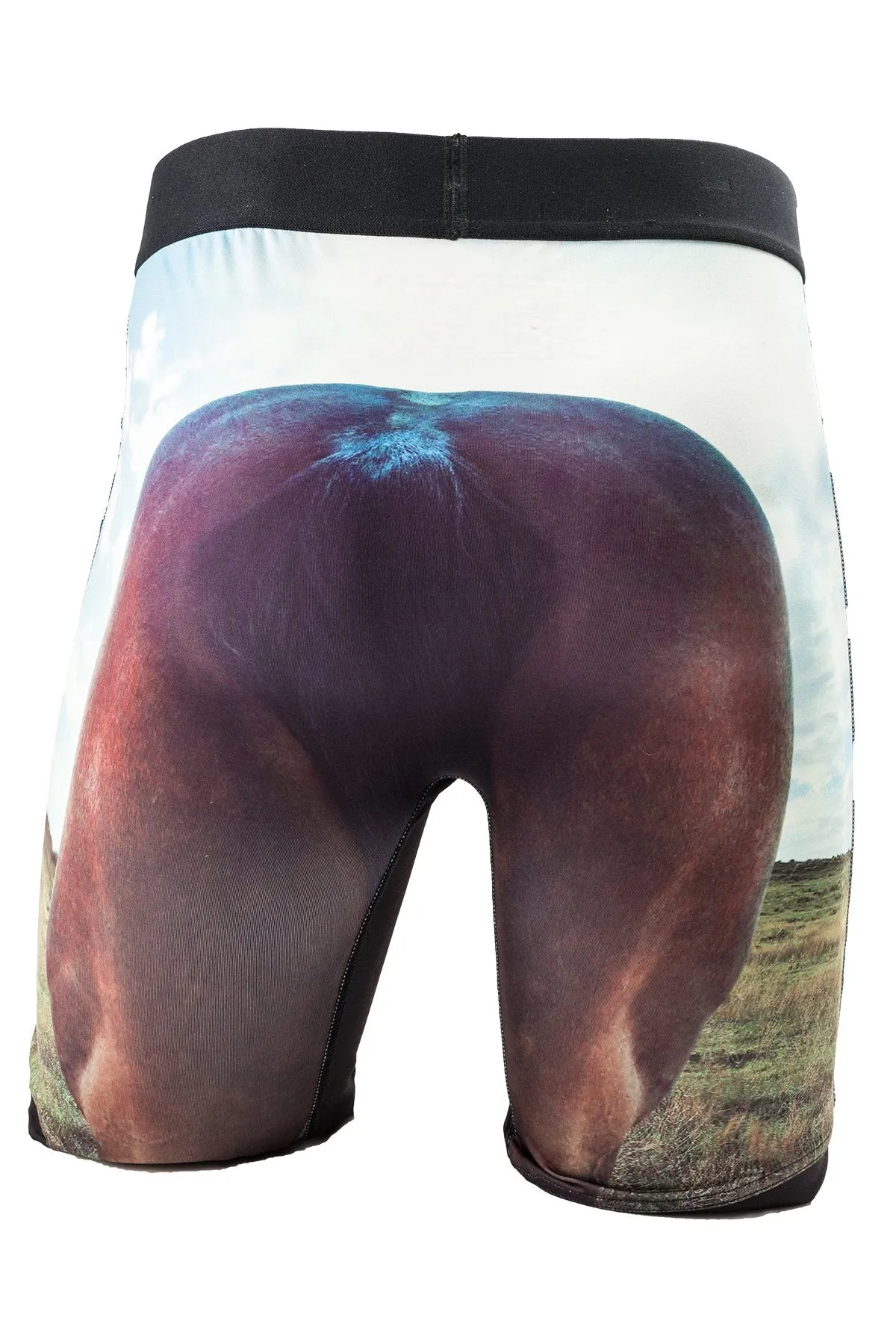 Cinch 9" Horse Face Men's Boxer