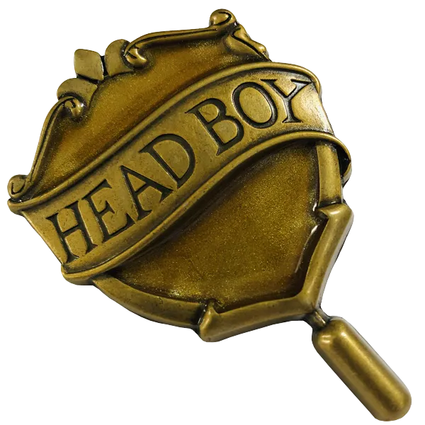 Hufflepuff Head Boy Pin