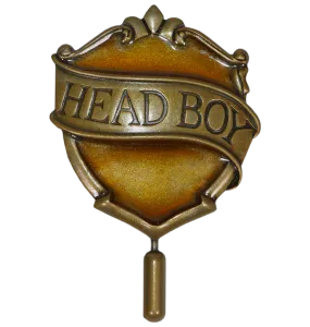 Hufflepuff Head Boy Pin