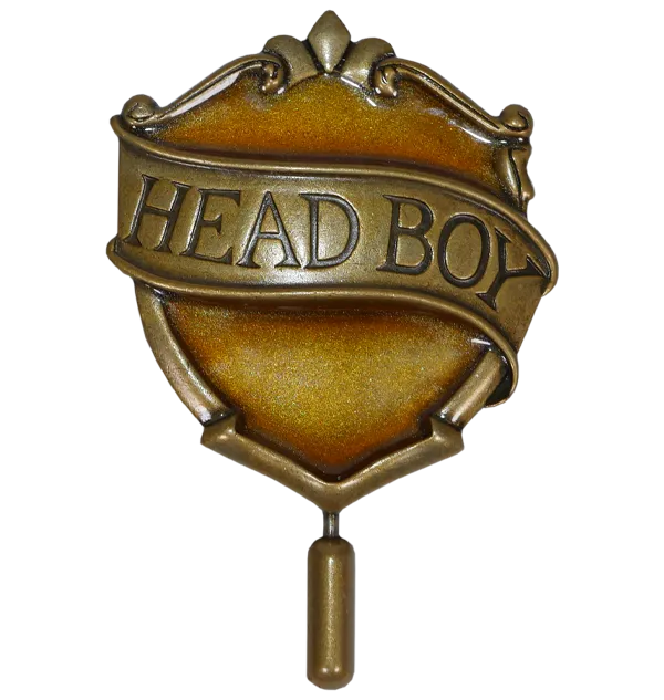 Hufflepuff Head Boy Pin